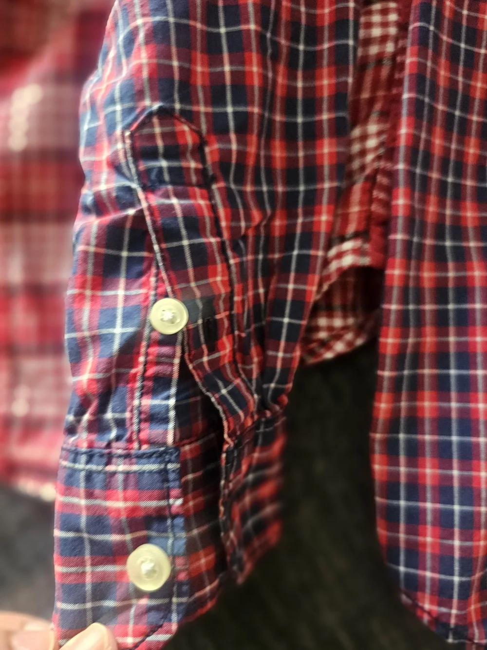 Carter's Red and Blue Plaid Button-Down Shirts Pack